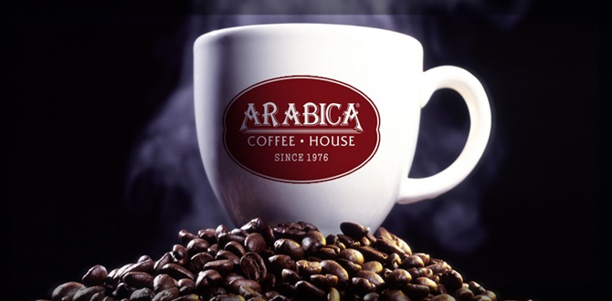 İncek Vista Arabica Coffee Mekanik Tesisat Projesi Tamamlandı